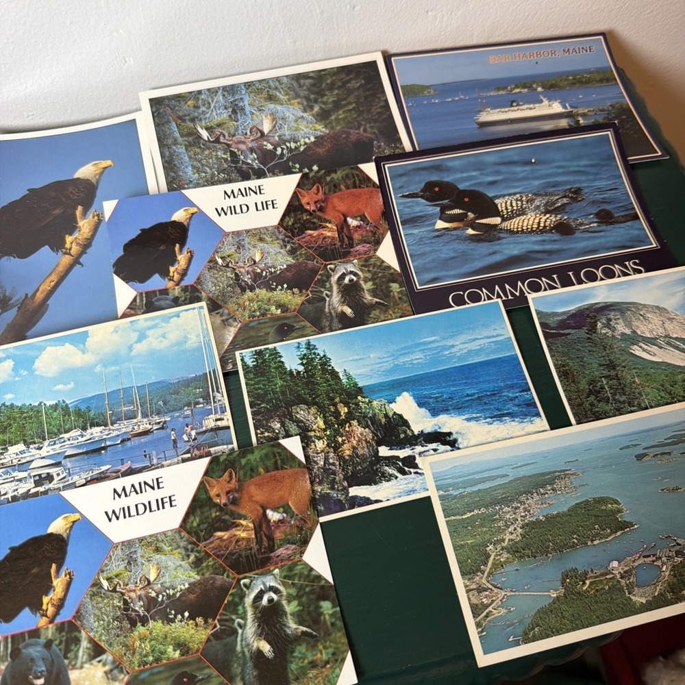 Lot Of 10 Vintage Maine NH Postcards Nature Wildlife Coastal Boating Birds Blank
